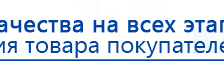 СКЭНАР-1-НТ (исполнение 01 VO) Скэнар Мастер купить в Павлово, Аппараты Скэнар купить в Павлово, Скэнар официальный сайт - denasvertebra.ru